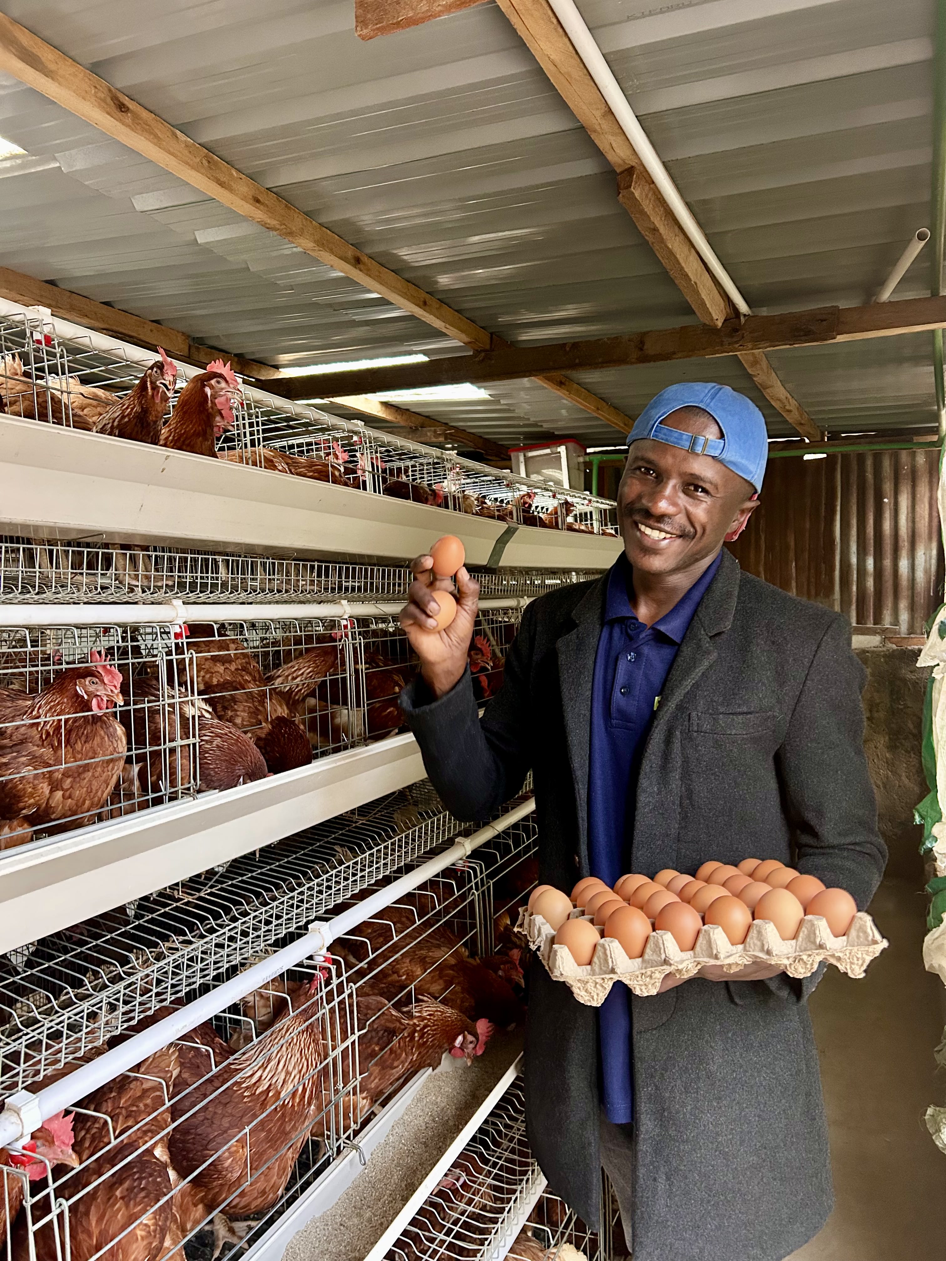 How I Built a Profitable Poultry Farm in 6 Months