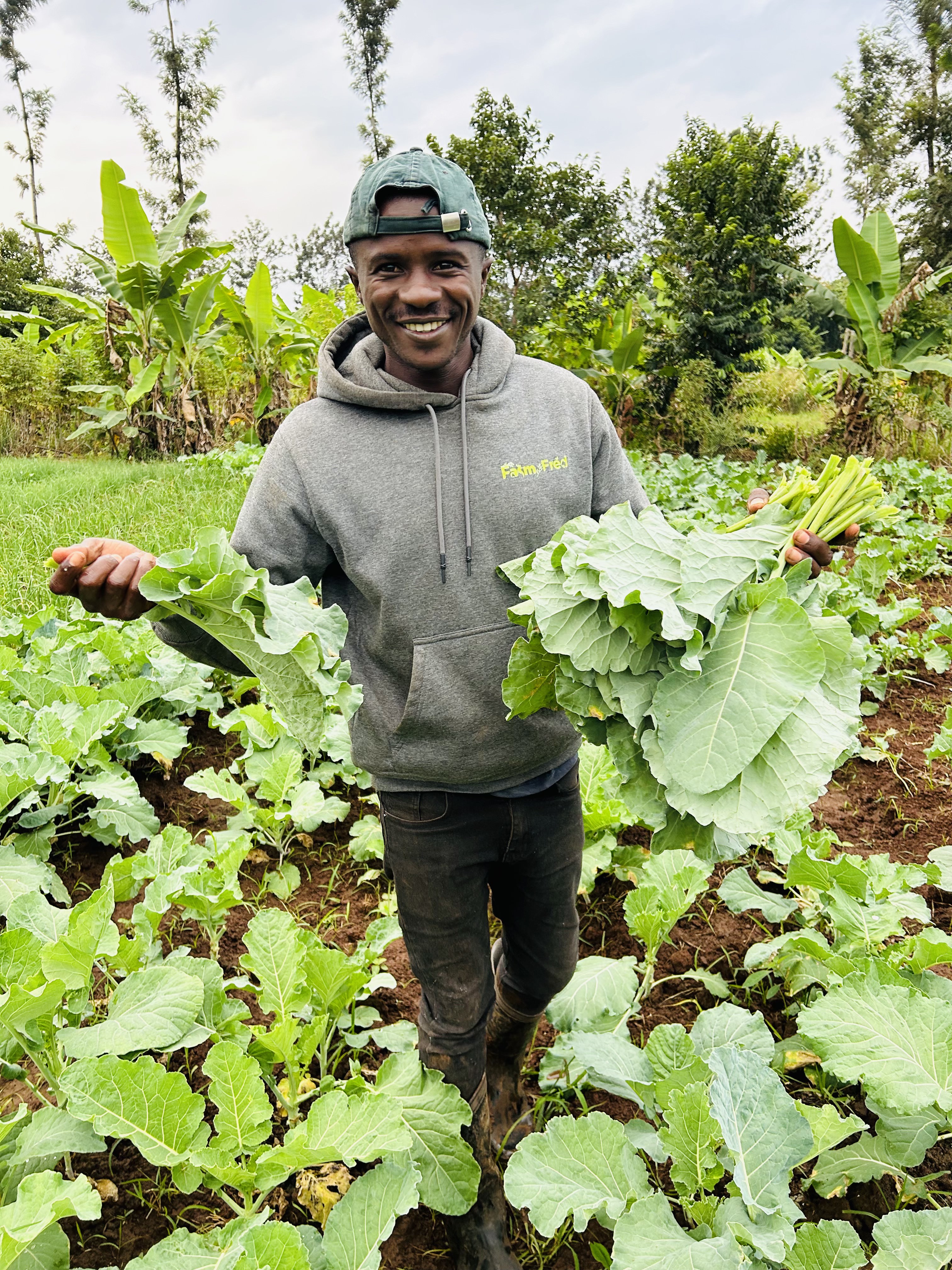 5 Organic Farming Techniques That Increased My Yields by 40%