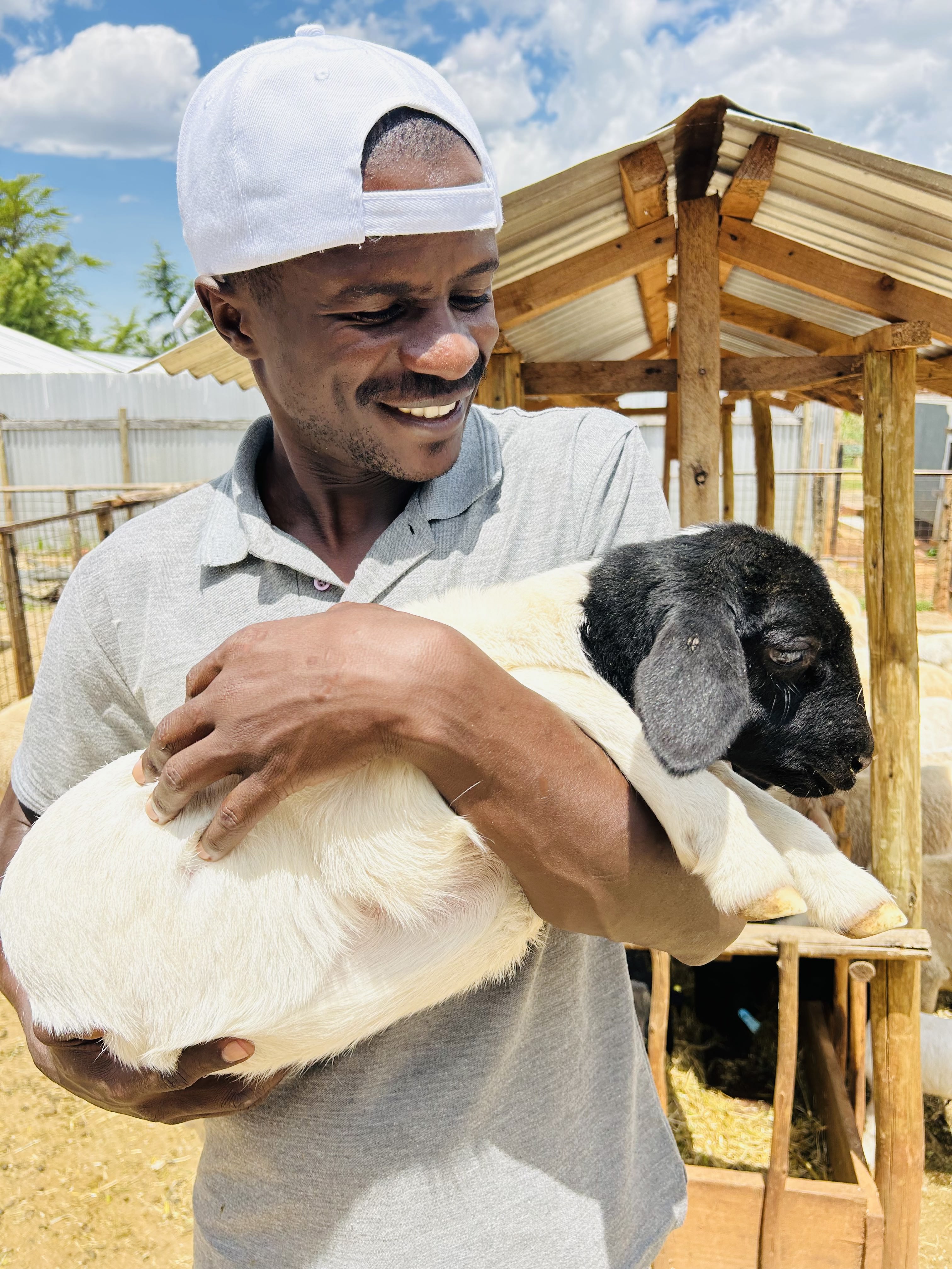 Goat Farming for Beginners: Essential Tips for Success